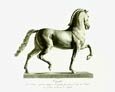 CN001_a.jpg (2193 octets)